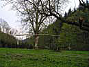 P5060051