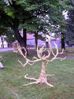 P8220524